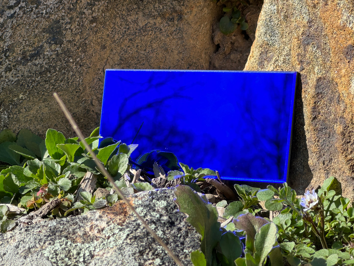 The Lebowski(Bone Orchard)